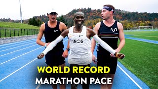 Running the Kipchoge Challenge World Record Marathon Pace with Zach Levet [upl. by Norry]