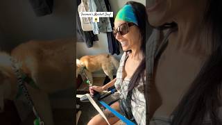 Husky Dog Vlog 2 My Huskies Go To The Farmer’s Market shorts husky dog dogshorts shortsvideo [upl. by Llehsim973]