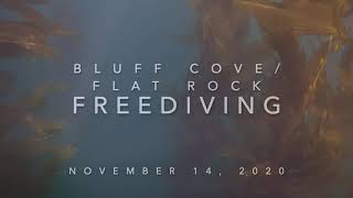 Palos Verdes Freediving  Episode 2 [upl. by Leavy294]