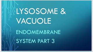 Lysosome And Vacuole Detail Explanation in easiest method Endomembrane system part 3 Biologygyaan [upl. by Lenard]