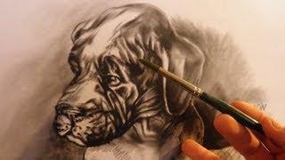 Hoe teken je een hond met de dry brush techniek  dieren tekenen  5 [upl. by Lamond405]