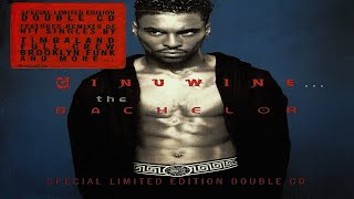 Ginuwine  When Doves Cry Brooklyn Funk Main Club Mix [upl. by Amie]