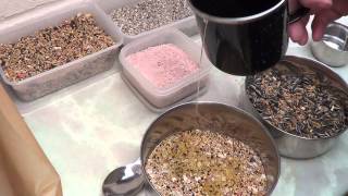 How To Make Bird Seed Treats [upl. by Lauri]