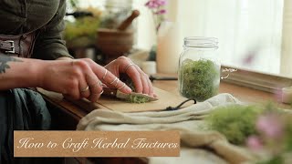 All About Crafting Tinctures  Herbal Medicine Making  How to Guide [upl. by Tenrag751]