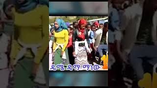 ባላገር ሁሉም የሚያምርበት ይህን አይቶ ሃገር ቢት የማይናፍቀው ማን ይሆን amhara trending shortvideo viral [upl. by Gimpel]