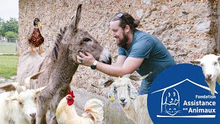 On visite la ferme pédagogique de Versailles FondationAssistanceAuxAnimaux [upl. by Enial]