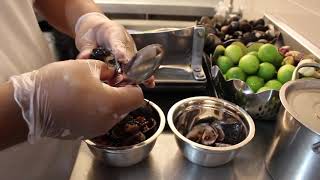 Cómo preparar un Ceviche de Conchas Negras  Cevichería Patty [upl. by Reivax]