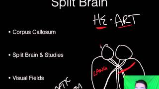 AP Psychology  BioPsych  Part 8  Consciousness [upl. by Reffotsirk]