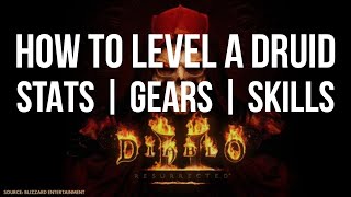 Guide HOW TO LEVEL A DRUID FOR DIABLO 2 RESURRECTED  STATS  SKILLS  GEAR [upl. by Rehpoitsirhc]