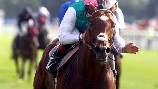 Frankel is flawless in 2012 Juddmonte International Stakes [upl. by Netsua662]