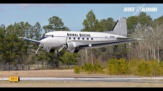 Probable Cause Dan Gryders DC3 Takeoff Low Pass amp Landing [upl. by Yentirb]