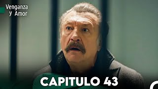 Venganza y Amor Capitulo 43  Doblado En Español [upl. by Aohk]