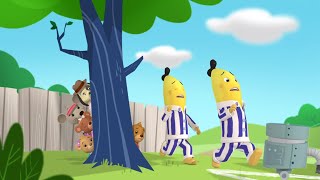 Robotic Malfunction  Bananas in Pyjamas Season 2  Full Episodes  Bananas In Pyjamas [upl. by Aehsan]