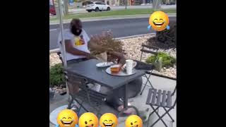 🤣😁El gallo funnycomedyvideo prank viralvideo [upl. by Ty]