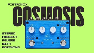 The Pigtronix Cosmosis Will Morph your Mind [upl. by Imot]