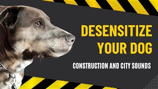 Desensitizing Sounds Construction and City Traffic City Noise  Dog Sound Training [upl. by Asetal]