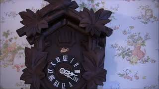 Schatz 1950s 8 day cuckoo clock [upl. by Schreibman]