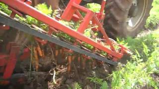 Dewulf P3B 1row 3point linked carrot harvester with bunker [upl. by Watt]