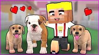 EFEKANIN KÖPEĞİNİN YAVRULARI OLDU 🥰  Minecraft [upl. by Hime237]