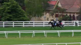 17 Sep Gallops Gallop 5 [upl. by Harald]