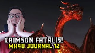 My first Crimson Fatalis fight  MH4U Journal 12 [upl. by Delcine273]