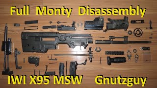 Tavor X95 Micro Surplus MSW Full Monty disassembly Warning IWI IDF Bullpup [upl. by Adnilema444]