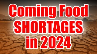 7 CRITICAL Foods To Stockpile BEFORE 2024 [upl. by Serene]