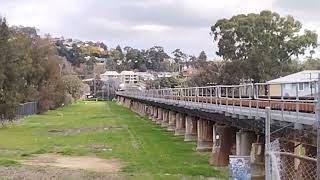 XPT passing over the Murrumbidgee River 28724 [upl. by Yelahs]