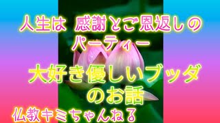 仏教の教え 兀兀コツコツ努力していけば、昨日より今日と１ミリでも向上したい方へ [upl. by Caswell]