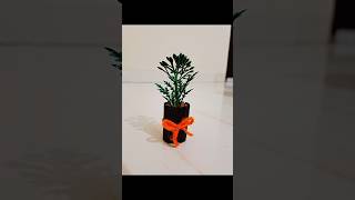 DIY cute planter using match sticks amp waste cap🌿 youtubeshorts youtuber tiktok viral tranding [upl. by Cathee790]