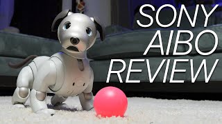 Sony Aibo Review This Robot Dog Is STILL Learning New Tricks [upl. by Hanan351]