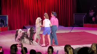 Zirkus Charles Knie  Hundedressur 27062024 [upl. by Lenahs]