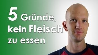 5 Gründe kein Fleisch zu essen  Urgeschmack [upl. by Bronk]