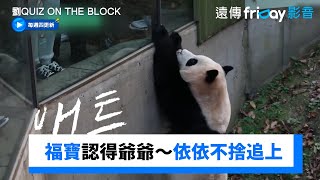 心永遠都在！福寶認得爺爺～依依不捨追上《劉QUIZ ON THE BLOCK》第195集friDay影音韓綜線上看 [upl. by Aluino204]