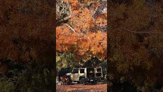 Solo camping in Australia’s golden autumn and sleep in Suzuki Jimny 🔥🍂 [upl. by Nattie]