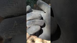 I Thought I found a Trime treasure treasurehunting metaldetecting silver coin find vlog [upl. by Aicenod]