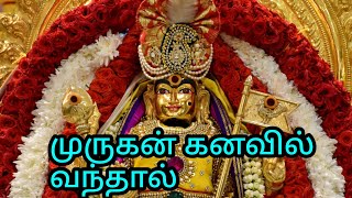 முருகன் கனவில் வந்தால் என்ன பலன்  Murugan kanavil vanthal enna palan in Tamil  kanavupalangal [upl. by Ahsin701]