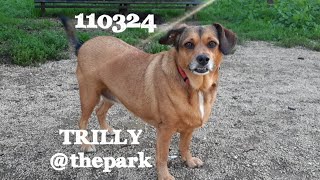 110324 TRILLY thepark teamsakofamily togscommunity soweirdfamily [upl. by Filler]