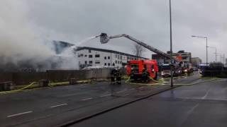 Feuer in der Metternichstraße in Trier Geschäftsführer glaubt an Selbstentzündung der Papierballen [upl. by Olonam]