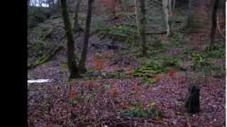 View from Northcliffe Bradford West Yorkshire England [upl. by At217]