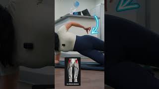 The MOST EFFECTIVE Exercise to target your gluteus medius muscle gluteusmedius [upl. by Corneille428]