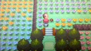 Pokemon Platinum Walkthrough Part 9Floaroma Town and Team Galactic [upl. by Mandel464]