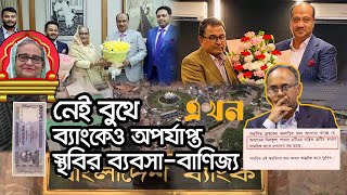 শেখ হাসিনার গদি টিকিয়ে রাখতে বেপরোয়া ছিলেন গভর্নর রউফ  Banking News  Governor Rouf  BD Economy [upl. by Zaremski]