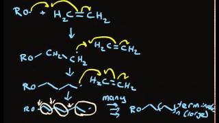 Radical Polymerization [upl. by Neirrad961]