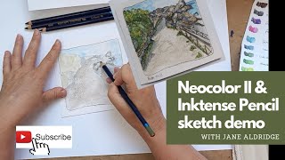 Neocolor II and Inktense Pencil demonstration  studio cat [upl. by Oloap]