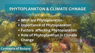 Phytoplankton Importance of phytoplankton Factors affecting Phytoplankton Climate change Hindi [upl. by Nuhs]