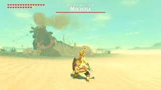 The Legend of Zelda Breath of the Wild  Molduga battle music mix [upl. by Suk]