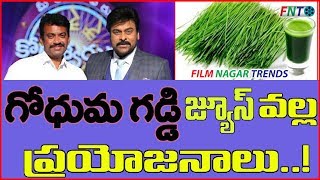 Satyam Wheat Grass at KBR Park  FilmNagar Trends [upl. by Rather]