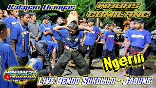 Bringas DJ kalapan WADAS GUMILANG  kalapan mberot  Live Bendo SUKOLILO  JABUNG [upl. by Dorej]