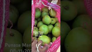 Punasa Mangos Aam Rasalu Mamide bowenpally market shortvideo trending videos vlogs food viral [upl. by Rowell]